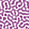 purple1.gif